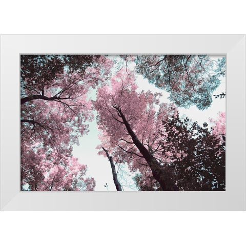 Blooming Cherry Blossom White Modern Wood Framed Art Print by Wilson, Kali