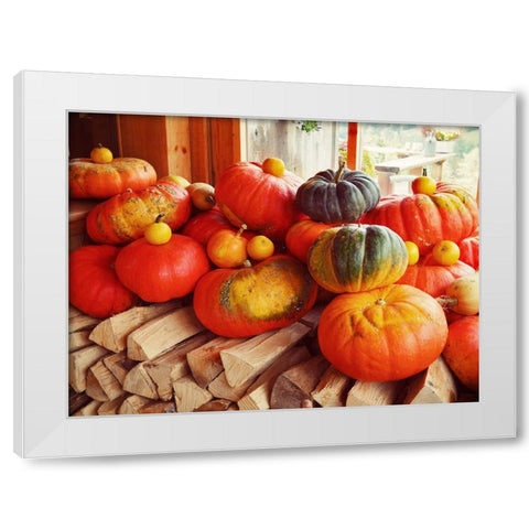 Pumpkins over Wood White Modern Wood Framed Art Print by Hyler, JB