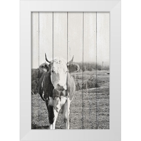 BW Country Cows on Wood White Modern Wood Framed Art Print by Hyler, JB
