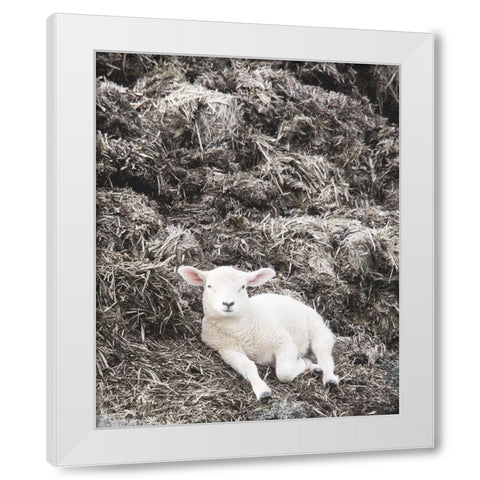 Sheep Vibes White Modern Wood Framed Art Print by Hyler, JB