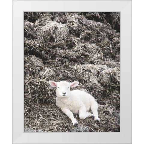 Sheep Vibes White Modern Wood Framed Art Print by Hyler, JB