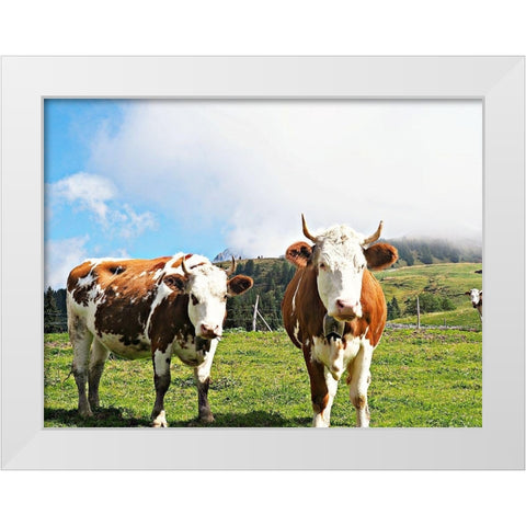 Country Cows White Modern Wood Framed Art Print by Hyler, JB