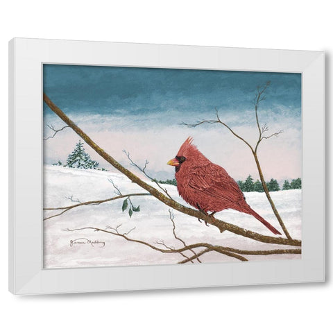 Auburn Cardinal White Modern Wood Framed Art Print by Redding, James