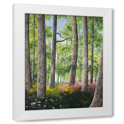Enchanted Forest White Modern Wood Framed Art Print by Redding, James