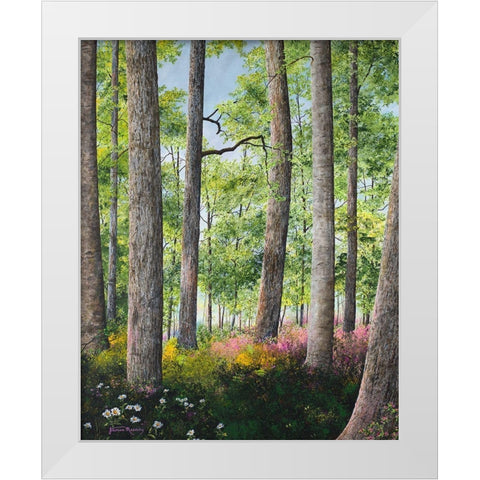 Enchanted Forest White Modern Wood Framed Art Print by Redding, James