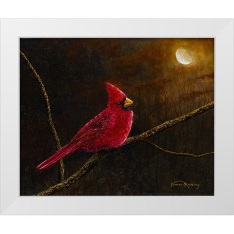 Cardinal In The Moonlight White Modern Wood Framed Art Print by Redding, James