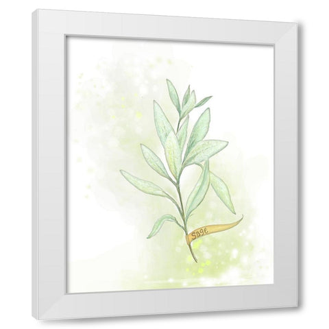 Fresh Herbs III White Modern Wood Framed Art Print by Diannart