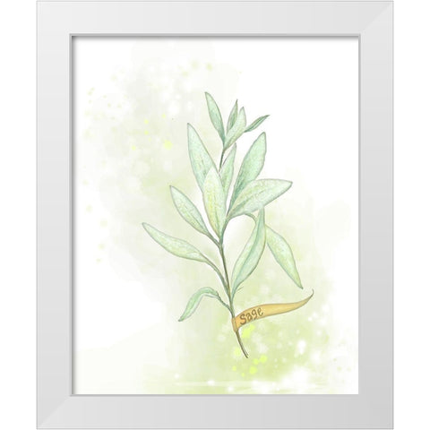 Fresh Herbs III White Modern Wood Framed Art Print by Diannart