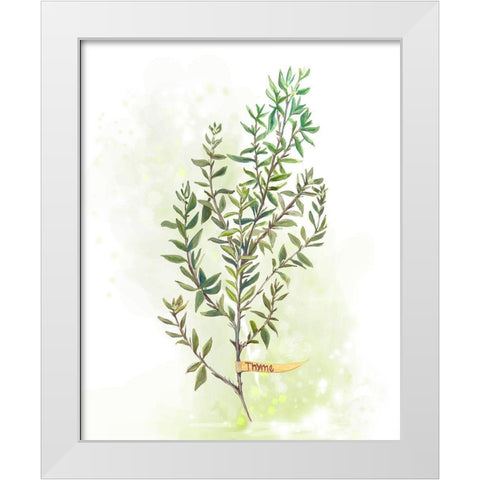 Fresh Herbs IV White Modern Wood Framed Art Print by Diannart