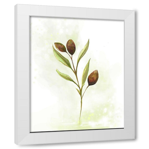 Fresh Herbs VI White Modern Wood Framed Art Print by Diannart