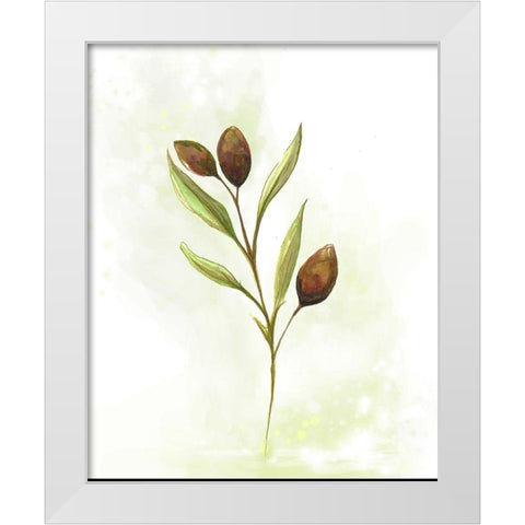 Fresh Herbs VI White Modern Wood Framed Art Print by Diannart