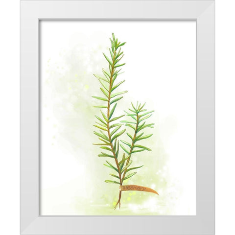 Fresh Herbs II White Modern Wood Framed Art Print by Diannart