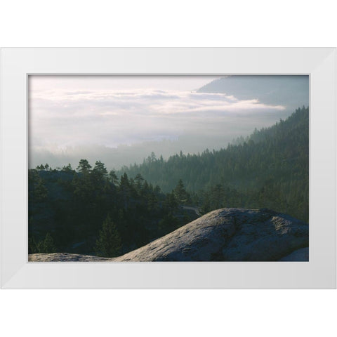 Peace and Tranquility White Modern Wood Framed Art Print by Stewart, Wil