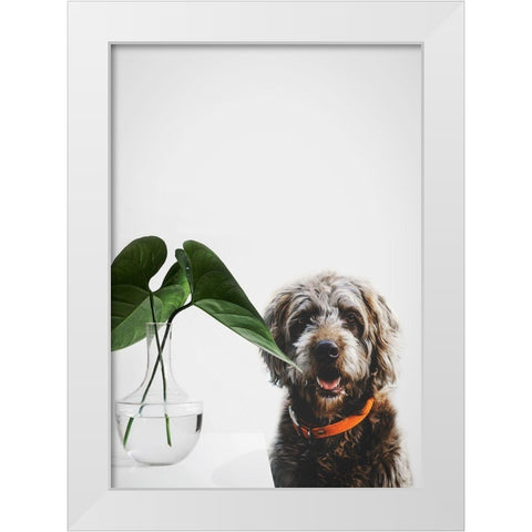 Dog Posing White Modern Wood Framed Art Print by SD Graphics Studio