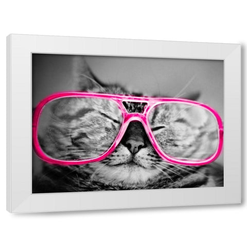 Hip Pets IV White Modern Wood Framed Art Print by SD Graphics Studio