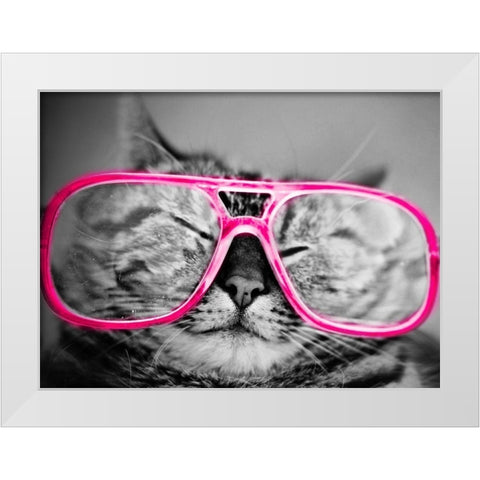 Hip Pets IV White Modern Wood Framed Art Print by SD Graphics Studio