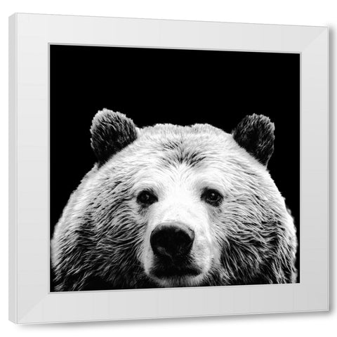 Furry Friends On Black I White Modern Wood Framed Art Print by SD Graphics Studio
