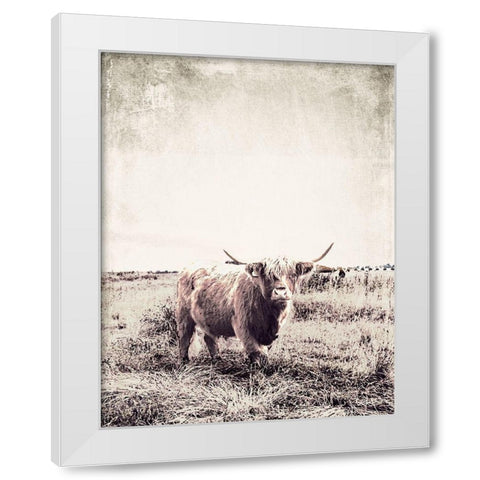 Vintage Highland Cattle White Modern Wood Framed Art Print by SD Graphics Studio