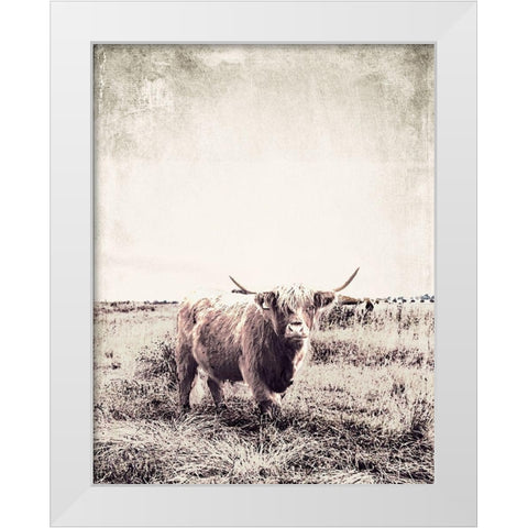 Vintage Highland Cattle White Modern Wood Framed Art Print by SD Graphics Studio