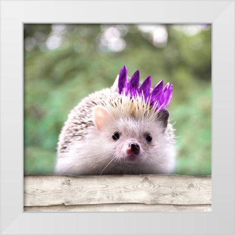Hedgehog With Crown White Modern Wood Framed Art Print by SD Graphics Studio