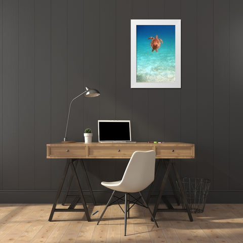 View from Below I White Modern Wood Framed Art Print by Mansfield, Kathy