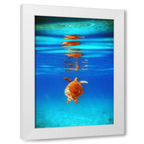 View from Below II White Modern Wood Framed Art Print by Mansfield, Kathy