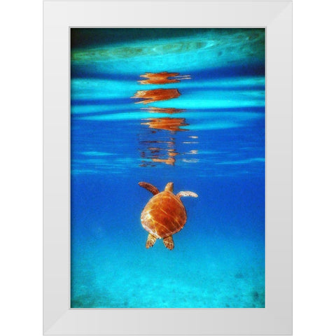 View from Below II White Modern Wood Framed Art Print by Mansfield, Kathy