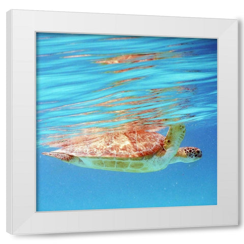 Underwater Depths I White Modern Wood Framed Art Print by Mansfield, Kathy