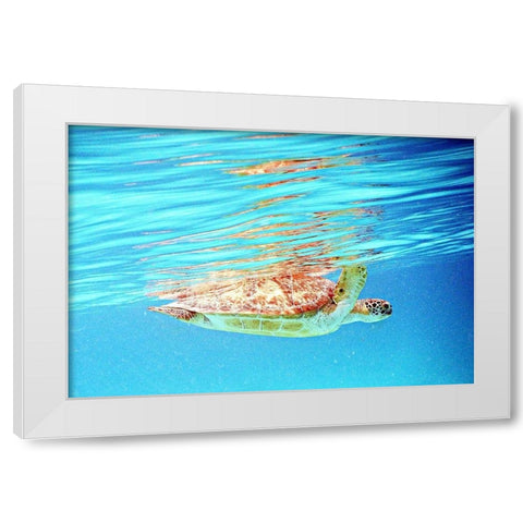 Underwater Depths I White Modern Wood Framed Art Print by Mansfield, Kathy