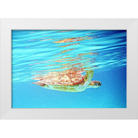 Underwater Depths I White Modern Wood Framed Art Print by Mansfield, Kathy