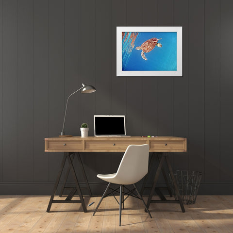Underwater Depths II White Modern Wood Framed Art Print by Mansfield, Kathy