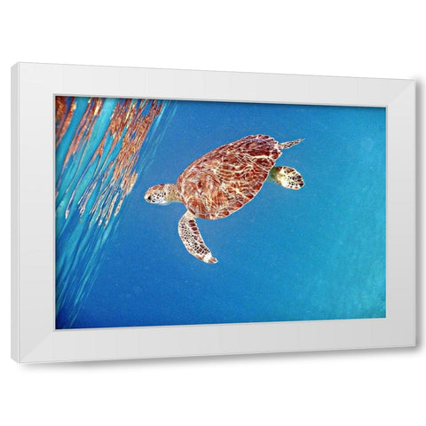 Underwater Depths II White Modern Wood Framed Art Print by Mansfield, Kathy