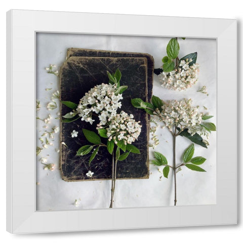 Read in the Garden Square White Modern Wood Framed Art Print by Gardner, sarah