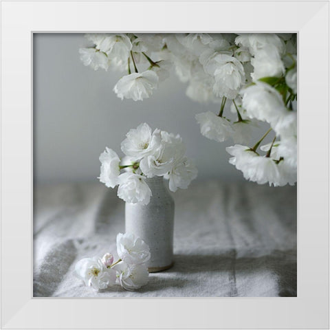 Baby Blooms White Modern Wood Framed Art Print by Gardner, Sarah