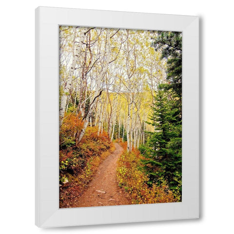 Walk In Christ White Modern Wood Framed Art Print by Nawrocke, Bruce