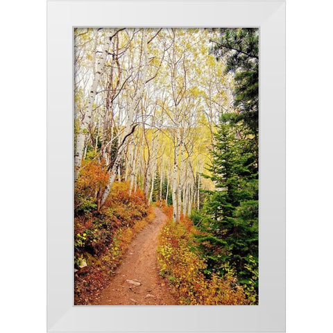 Walk In Christ White Modern Wood Framed Art Print by Nawrocke, Bruce