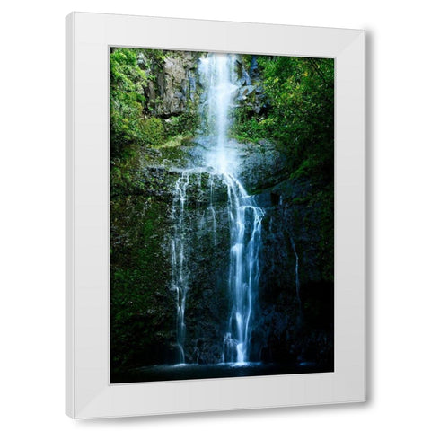 Natural Rain Forest White Modern Wood Framed Art Print by Nawrocke, Bruce