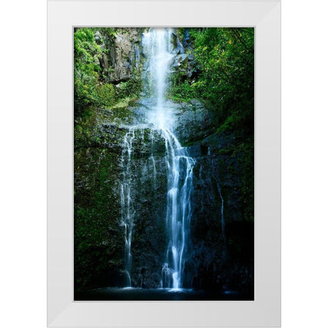 Natural Rain Forest White Modern Wood Framed Art Print by Nawrocke, Bruce