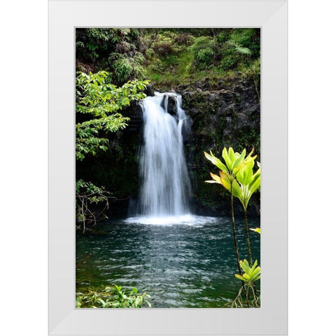 Hide Aways White Modern Wood Framed Art Print by Nawrocke, Bruce