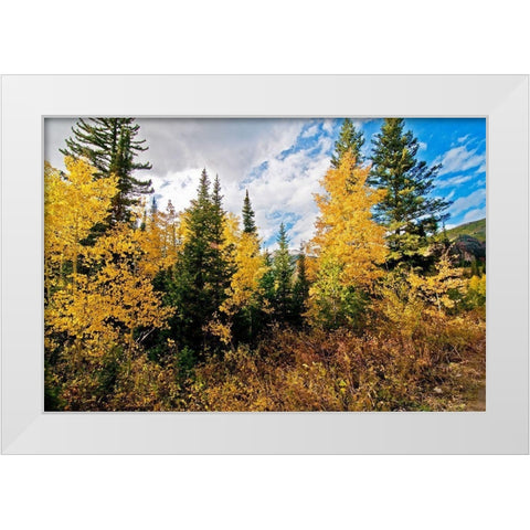 Natures Hidden Treasures I White Modern Wood Framed Art Print by Nawrocke, Bruce