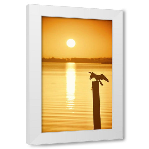 Bird Watch on the Lake White Modern Wood Framed Art Print by ODell, Debbie