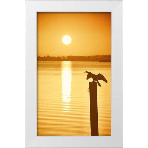Bird Watch on the Lake White Modern Wood Framed Art Print by ODell, Debbie