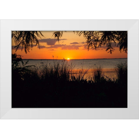 Sunset Seaside White Modern Wood Framed Art Print by ODell, Debbie