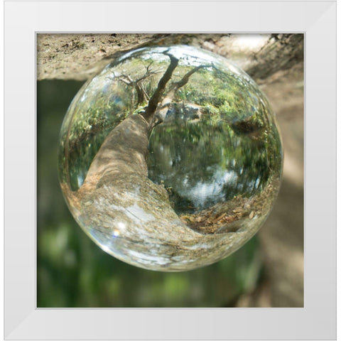 Nature Droplets White Modern Wood Framed Art Print by ODell, Debbie
