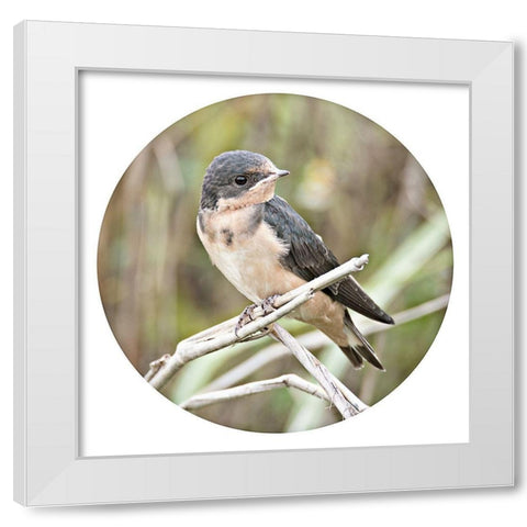 On Watch Out White Modern Wood Framed Art Print by ODell, Debbie
