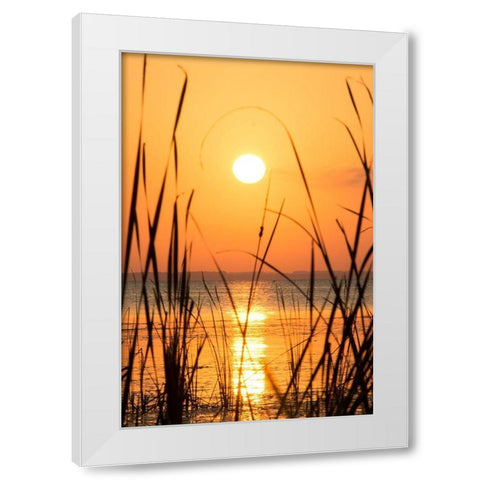 Sunset on the Lake I White Modern Wood Framed Art Print by ODell, Debbie