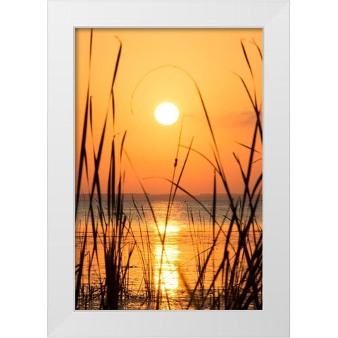 Sunset on the Lake I White Modern Wood Framed Art Print by ODell, Debbie