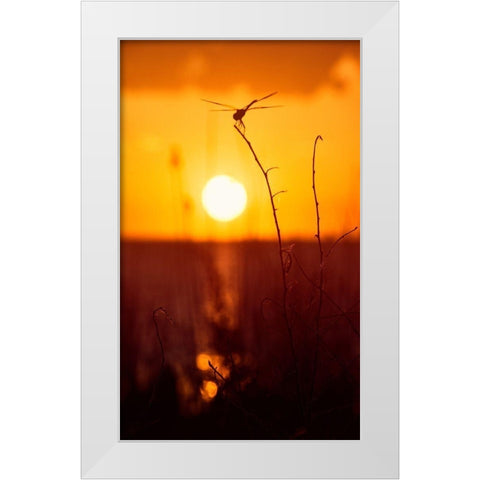 Still Moments White Modern Wood Framed Art Print by ODell, Debbie
