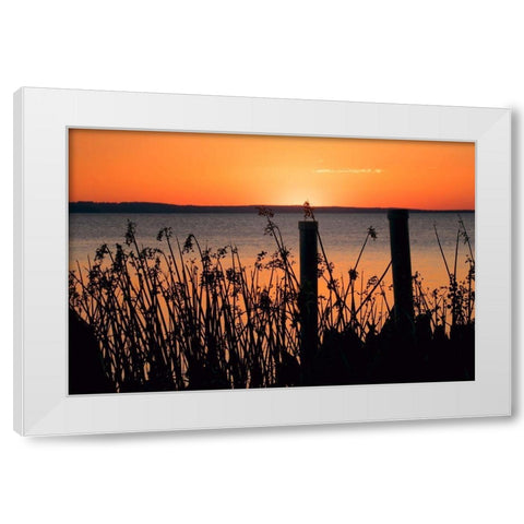 Sundown Coast White Modern Wood Framed Art Print by ODell, Debbie