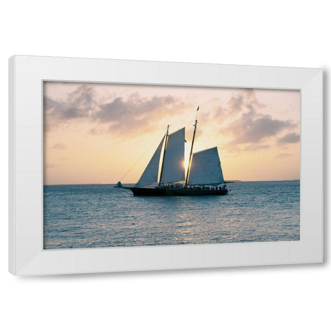 Coastal Sailing White Modern Wood Framed Art Print by ODell, Debbie